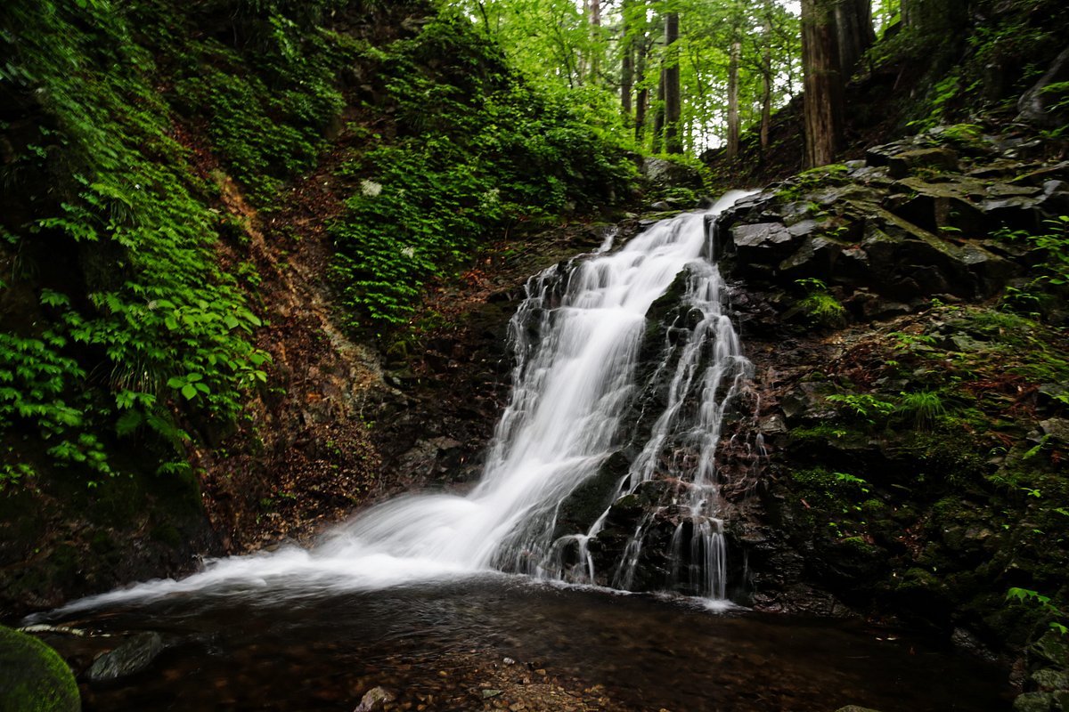 🏞️ 시라이토 폭포 (닛코) 이미지 4